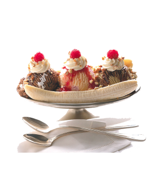 Mix à Glaces 2 Poches Neutre Prémium ( Sundae)