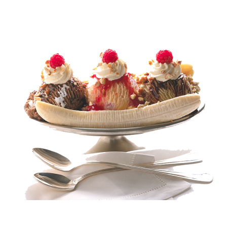 Mix à Glaces 2 Poches Neutre Prémium ( Sundae)