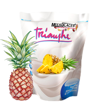Mix à glaces Ananas