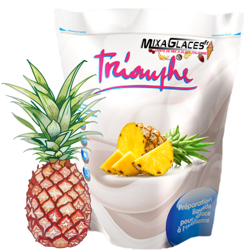 Mix à Glaces 2 Poches Ananas