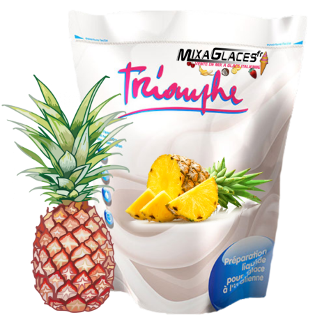 Mix à glaces Ananas