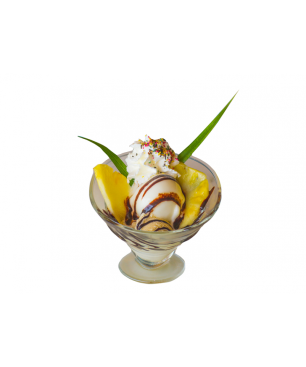 Mix à Glaces 2 Poches Ananas