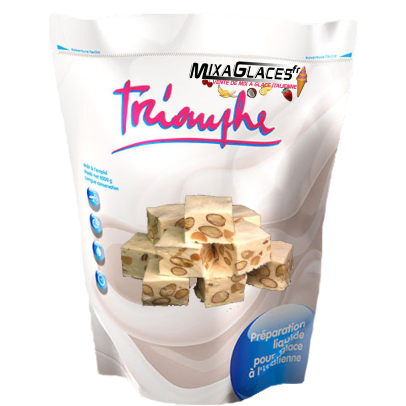 Mix à Glaces 2 Poches Nougat
