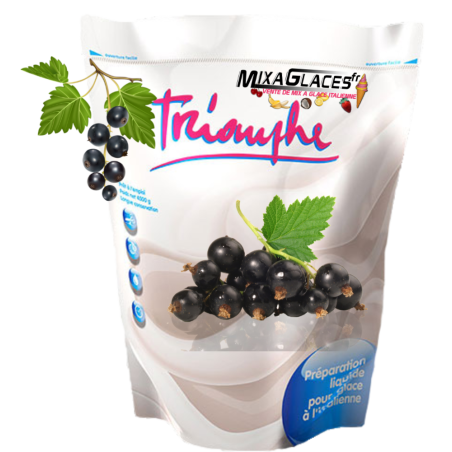 Mix à Glaces 2 Poches Cassis