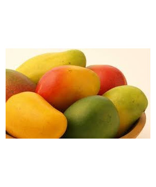 Mix à Glaces 2 Poches Mangue Prémium
