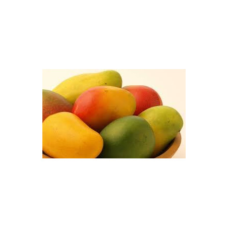 Mix à Glaces 2 Poches Mangue Prémium