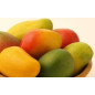 Mix à Glaces 2 Poches Mangue Prémium