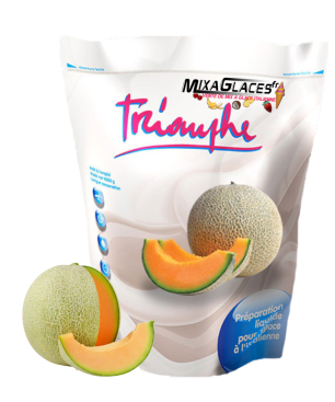 Mix à glaces Melon