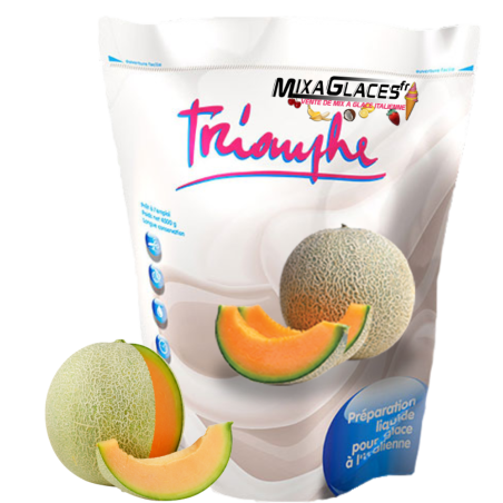 Mix à glaces Melon