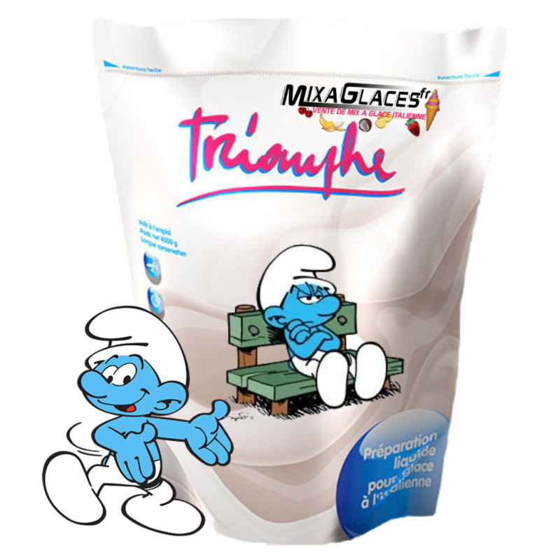 Mix à Glaces 2 Poches Schtroumpf