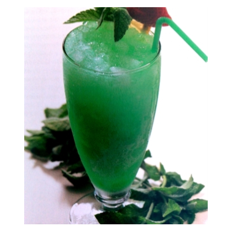 Concentré Granités Menthe Verte 2 Litres